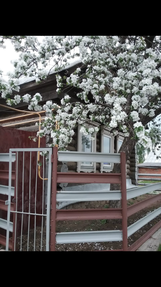 Продаётся дом в Елабуге, улица Чапаева. 
Отопление, свет в доме.